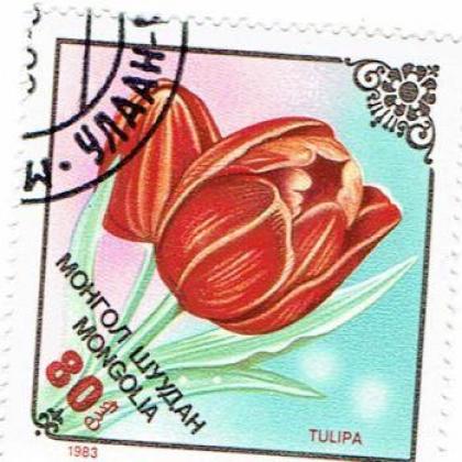 MANGOLIA FLOWER THEME 80m SQURE SHAPED STAMP WS1