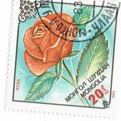 MANGOLIA ROSE FLOWER THEME 20m SQUARE SHAPED STAMP WS1