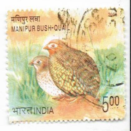 MANIPUR BUSH QUAIL PAIR BIRD COMMEMORATIVE STAMP CSB 11