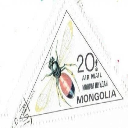 MONGOLIA  INSECT THEME TRIANGLE  SHAPED STAMP WS1