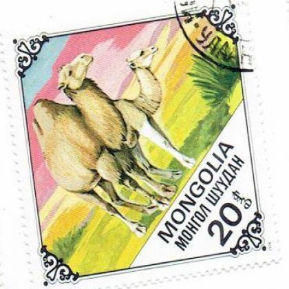 MONGOLIA CAMEL THEME  BIG SIZE SQUARED ODD SHAPED STAMP WS1