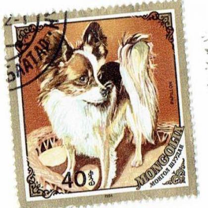 MONGOLIA DOG THEME SQUARED ODD SHAPED STAMP WS1