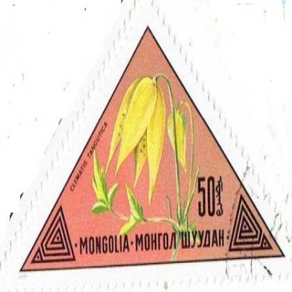 MONGOLIA FLOWER THEME  TRIANGLE SHAPED STAMP WS1