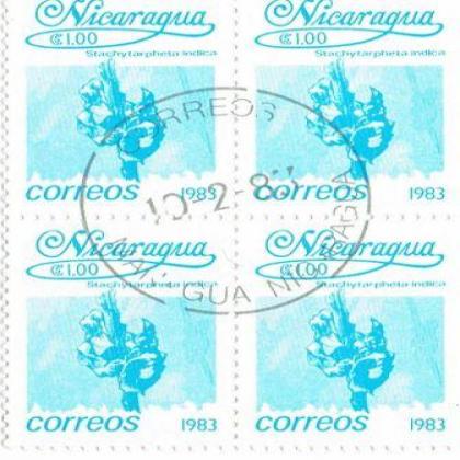 NICARAGUA 1983 CORREOS INDICA FLOWER THEME BLOCK OF 4 STAMPS