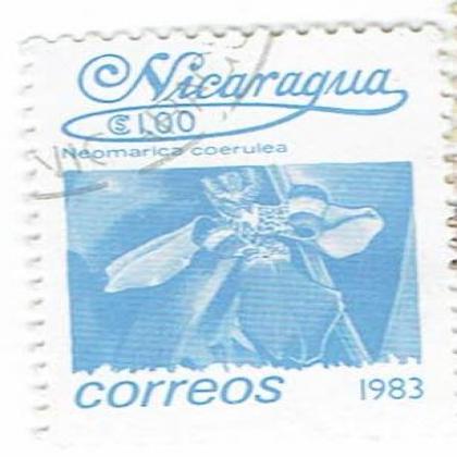 NICARAGUA 1983 NEOMARICA CORREOS FLOWER THEME STAMP WS 06