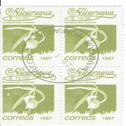 NICARAGUA 1987 BRASSAVOLA  FLOWER  THEME BLOCK OF 4 STAMPS