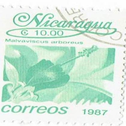 NICARAGUA  1987 CORREOS MALVASCUS ARBOREUS FLOWER THEME STAMP WS8