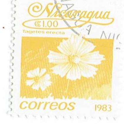 NICARGUA 1983 CORREOS FLOWER COMMEMORATIVE STAMP WS 8