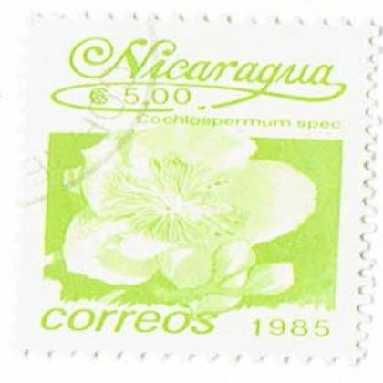 NICARGUA 1985 CORREOS FLOWER COMMEMORATIVE STAMP WS 7