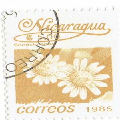 NICARGUA 1985 CORREOS FLOWER COMMEMORATIVE STAMP WS 8