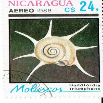 NICARGUA 1988 AEREO SNAIL COMMEMORATIVE STAMP WS 7