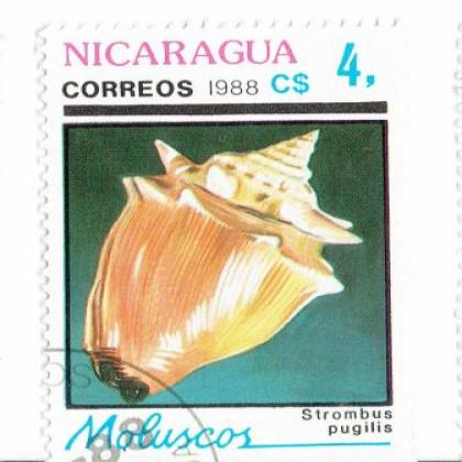 NICARGUA 1988 CORREOS SNAIL COMMEMORATIVE STAMP WS 7