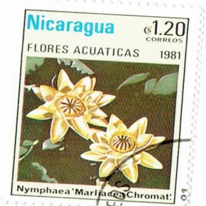 NICARGUA FLORES ACUATICAS FLOWER  STAMP WS 06