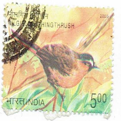 NILGIRI THRUSH BIRD COMMEMORATIVE STAMP CSB 16