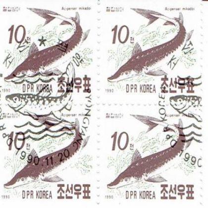 NORTH KOREA 10 WON FISH THEME BLOCK OF 4 STAMPS