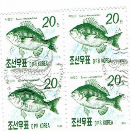 NORTH KOREA 20 WON FISH THEME BLOCK OF 4 STAMPS