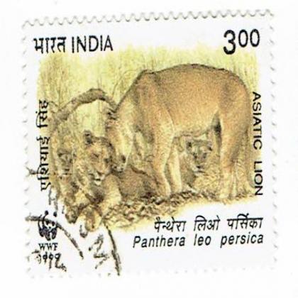 PATHERA LEO PERSICA COMMEMORATIVE STAMP CSB 1