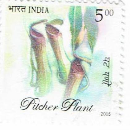 PITCHER PLANT COMMEMORATIVE STAMP CSB 16