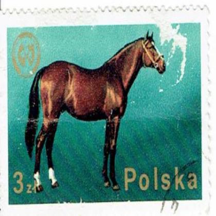 POLAND 3 ZL HORSE THEME COMMEMORATIVE STAMP WS 3