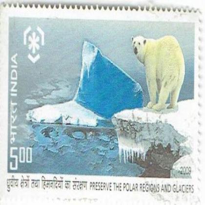 PRESERVE THE POLAR REGIONS AND GLACIERS BIG SIZE COMEMORATIVE STAMP CSB 17