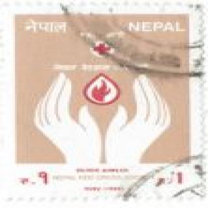 RED CROSS SILVER JUBILEE COMMEMORATIVE STAMP WS2
