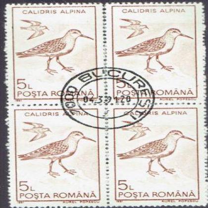 ROMANI 5L CALIDRIS ALPINA BIRD THEME BLOCK OF 4 STAMPS