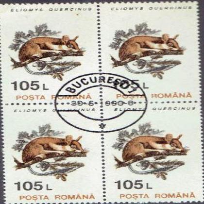 ROMANIA 105 L ELIMYS QUERCINUS MOUSE THEME BLOCK OF 4 STAMPS