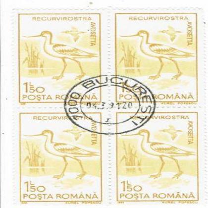 ROMANIA 150L RECURVIROSTRA BIRD THEME BLOCK OF 4 STAMPS