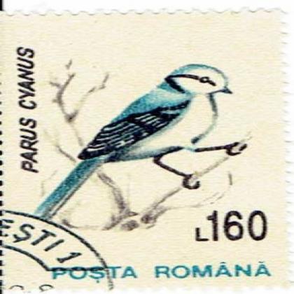 ROMANIA 160L PARUS CYANUS COMMEMORATIVE STAMP WS7