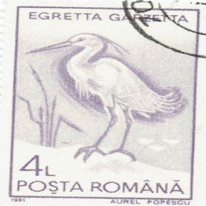 ROMANIA 1991  EGRETTA BIRD COMMEMORATIVE STAMP WS 7