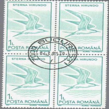 ROMANIA 1L STERNA HIRUNDO BIRD THEME BLOCK OF 4 STAMPS