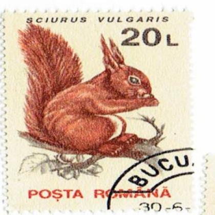 ROMANIA 20L SCIURUS VULGARIS SQUIRREL COMMEMORATIVE STAMP WS7