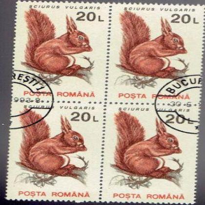 ROMANIA 20L SCIURUS VULGARIS SQUIRREL THEME BLOCK OF 4 STAMPS