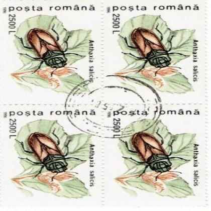 ROMANIA 2500L ANTHAXIA INSECT THEME BLOCK OF 4 STAMPS