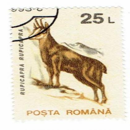 ROMANIA 25L RUPICAPRA GOAT COMMEMORATIVE STAMP WS7