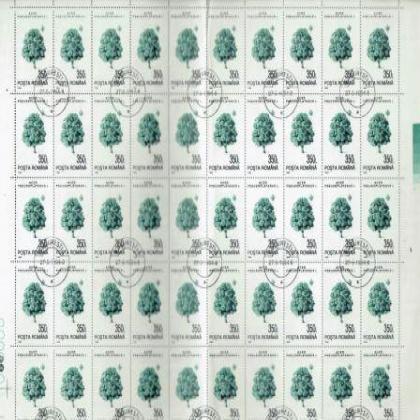 ROMANIA 350L AGER PSEDOPLATANUS TREE FULL SHEET OF 50 STAMPS