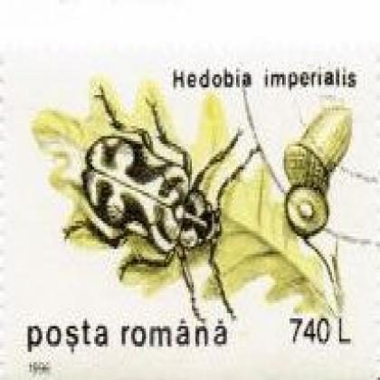 ROMANIA 350L ENTOMOSCELIS INSECT COMMEMORATIVE STAMP WS 7