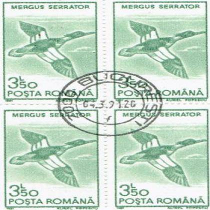 ROMANIA 350L MERGUS BIRD THEME BLOCK OF 4 STAMPS