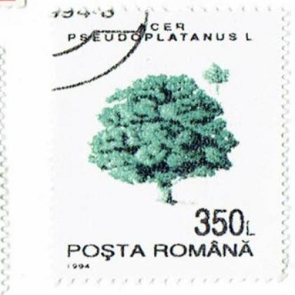 ROMANIA 350L PSEUDOPLATANUS COMMEMORATIVE STAMP WS 7