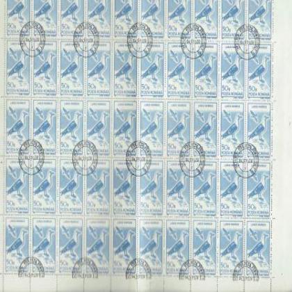 ROMANIA 50B LARUS MARNIUS BIRD FULL SHEET OF 50 STAMPS RARE