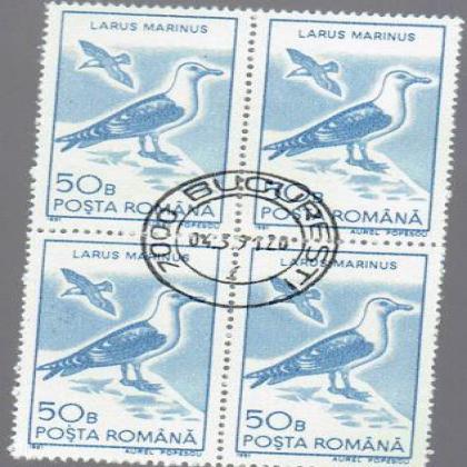 ROMANIA 50B LARUS MARNIUS BIRD THEME BLOCK OF 4 STAMPS