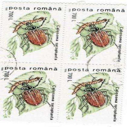 ROMANIA 700L 1996 CALOSOMA INSECT THEME BLOCK OF 4 STAMPS