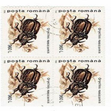ROMANIA  ORYCTES INSECT THEME BLOCK OF 4 STAMPS