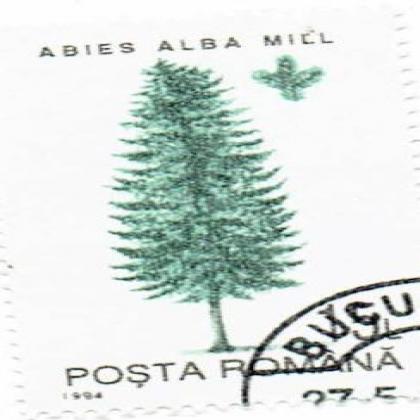 ROMANIA ABIES ALBA MILL COMMEMORATIVE STAMP WS 7