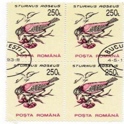 ROMANIA STURNUS BIRD THEME BLOCK OF 4 STAMPS