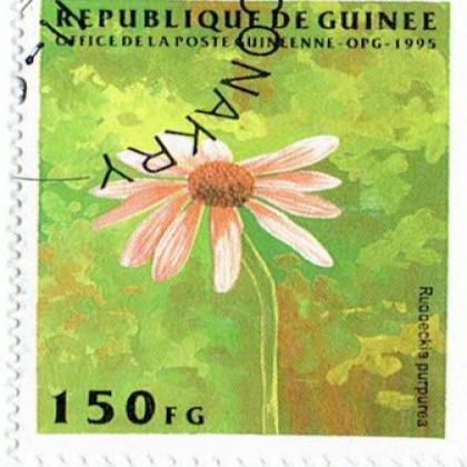 RUABECKIA FLOWER  COMMEMORATIVE STAMP WS 5