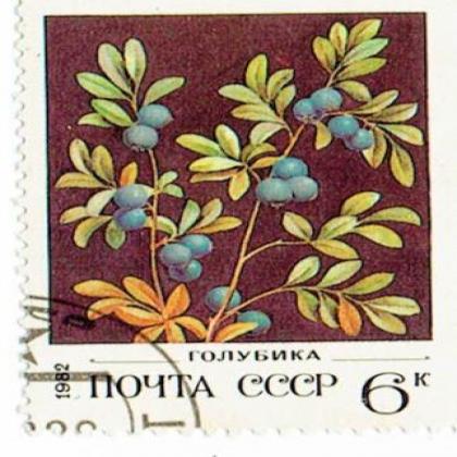 RUSSIA 1982 CCCP FLOWER THEME STAMP WS 8