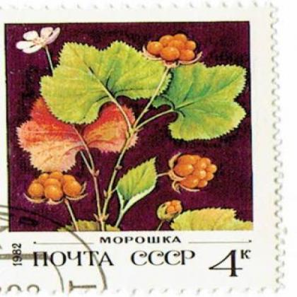 RUSSIA 4K CCCP FLOWER COMMEMORATIVE STAMP WS 6