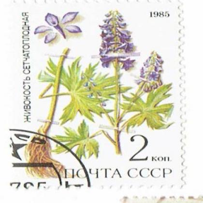 RUSSIA CCCP 1985 GRASS ROOT FLOWER  COMMEMORATIVE STAMP WS7