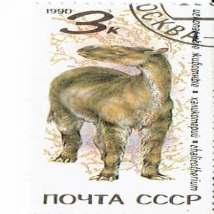 RUSSIA CCCP 1990 CHALICATHERIUM  BIG SIZE COMMEMORATIVE STAMP WS 3